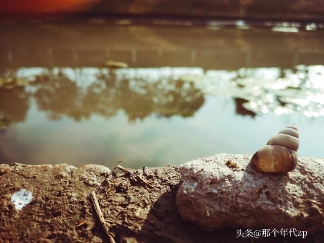 老运河边的早市，藏着丫头的撒泼声