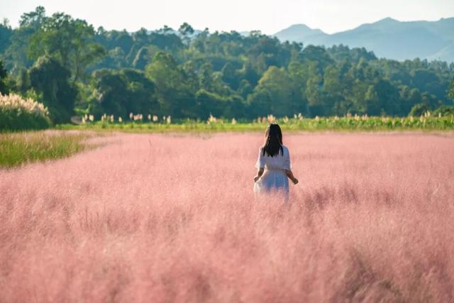 腾冲2026年度文旅活动主题发布，月月有惊喜！