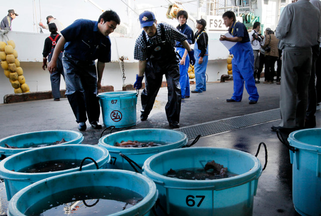 全面停止进口，一票否决！日本彻底傻眼	，三十五年布局白费！