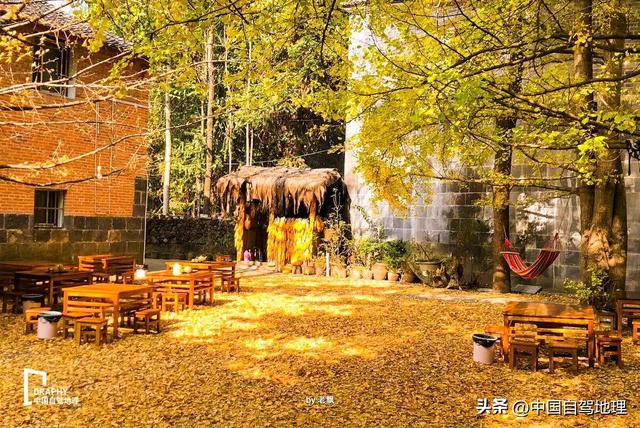 秋冬最被低估的旅居净土！收藏这份保姆级赏玩攻略，来了就不想走