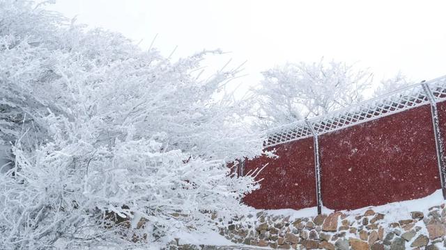 美到失语！雪后泰山限定风景，仿佛天宫坠落人间！