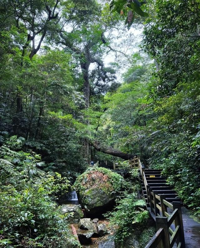 山海间的苗寨原乡：雅啦咪山海情民宿的本真文化旅居