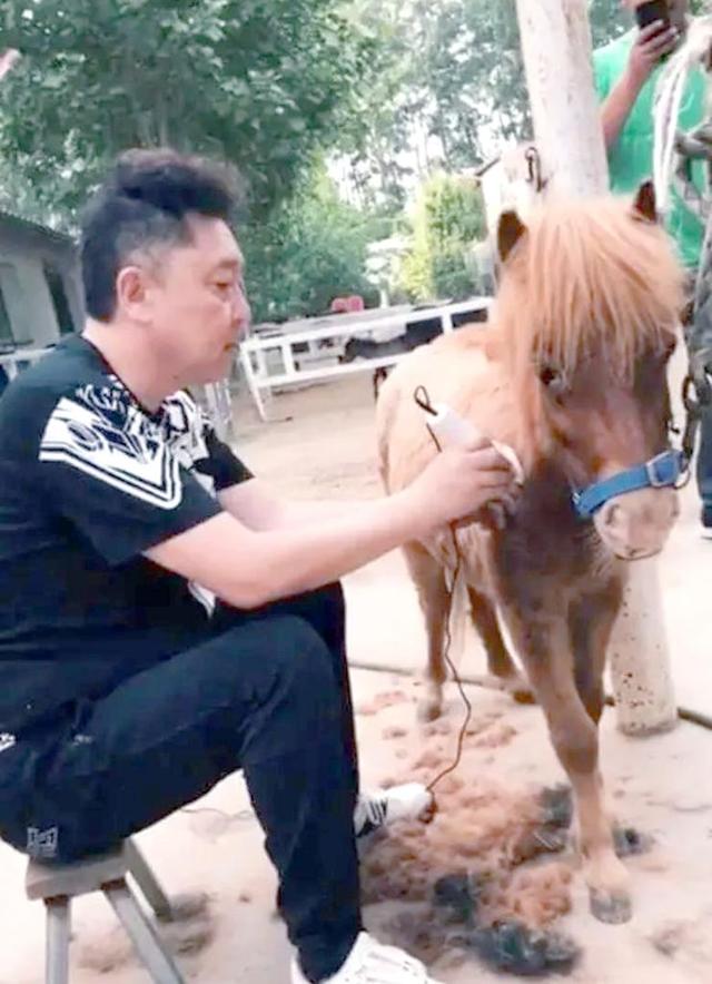 不查不知道一查吓一跳，坐拥北京60亩马场的于谦，私下到底有多壕