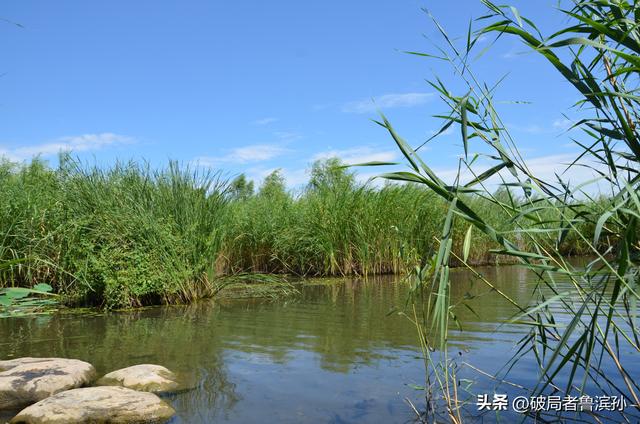 北京八月份适合运动暴汗的好地方你知道吗？