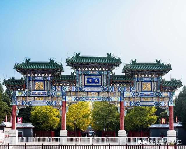 地坛银杏初黄正当时，错过就没机会了