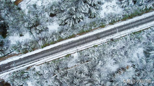 固原首场秋雪奏响季节交响曲 这是一次秋与冬的诗意碰撞
