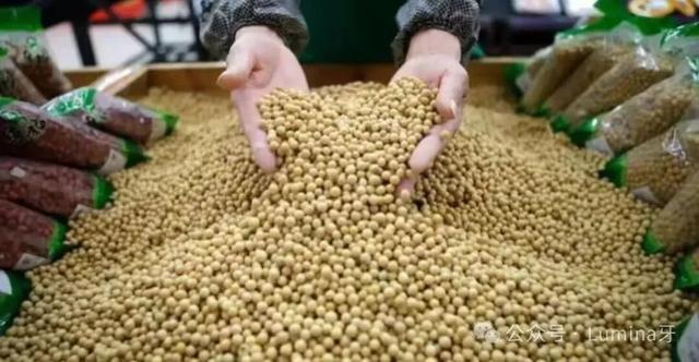 从互利共赢到剑拔弩张，中美大豆贸易那场说不清道不明的战争
