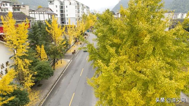 悦·遵义丨是心动呀！遵义，你这么好看！