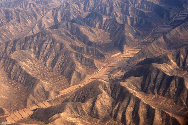 感觉甘肃的黄土高坡上的土其实挺厚的，但为啥只有黄土上不长树呢