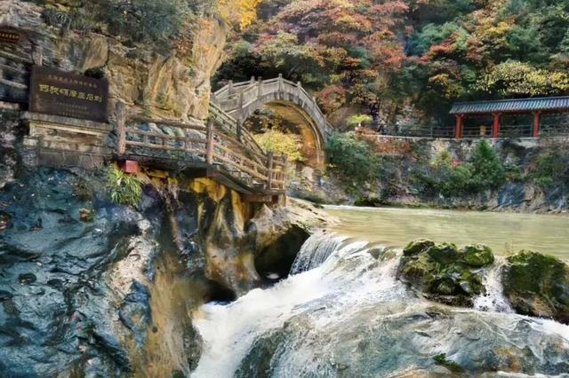 层林尽染引客来！成县西狭颂景区秋叶观赏季人气持续攀升