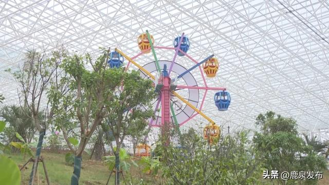 鹿泉：攻坚护航旅发大会！小三亚项目提前两月送电