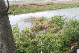 这里平常没有人来钓，我连续钓了三天，每天都钓了几斤图片