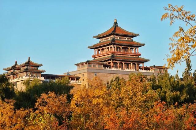 发现丰台之美 | 秋末冬初 落叶静美🧡