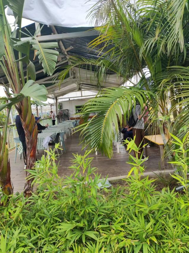 散文丨陈葶：闲情寄田园