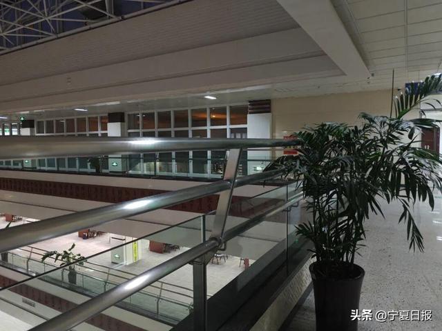 闭馆两个月后，宁夏图书馆焕新回归！这些改变很贴心→