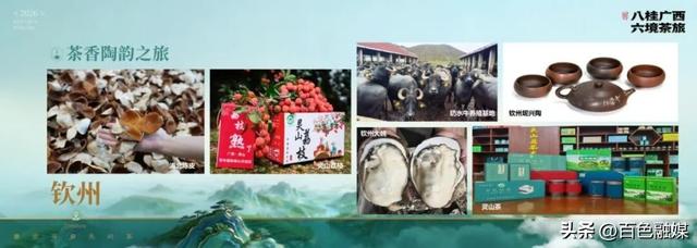 广西茶文旅新线发布！百色/崇左边关觅茶之旅等你赴约~