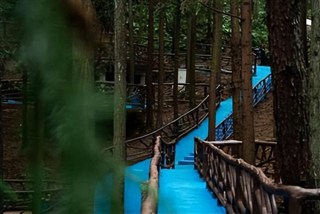 【风景这边独好】瓜子坪露营基地：把山野浪漫过成日常