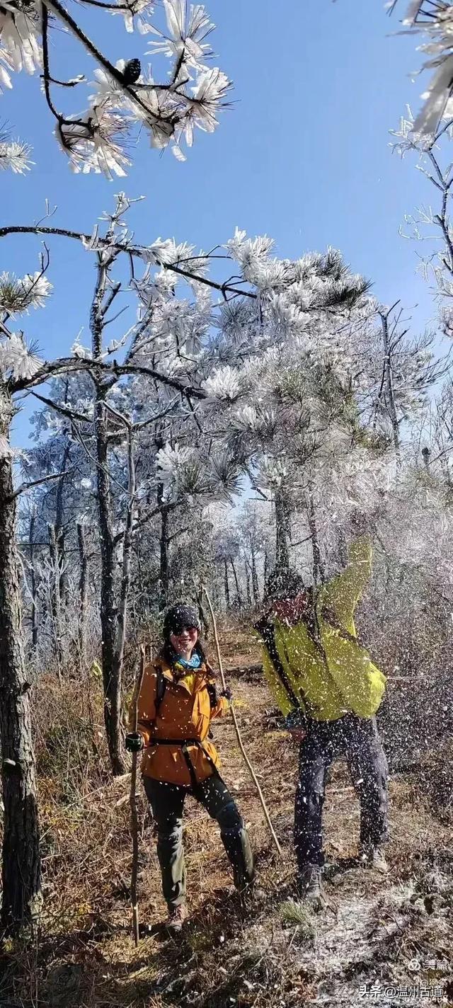 邂逅2026年的第一场醉美雾凇！温州四海山的雾凇美爆了！