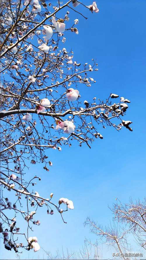 “冷不冷，就看九月十三”，今天九月十三，今冬有多冷？答案来了