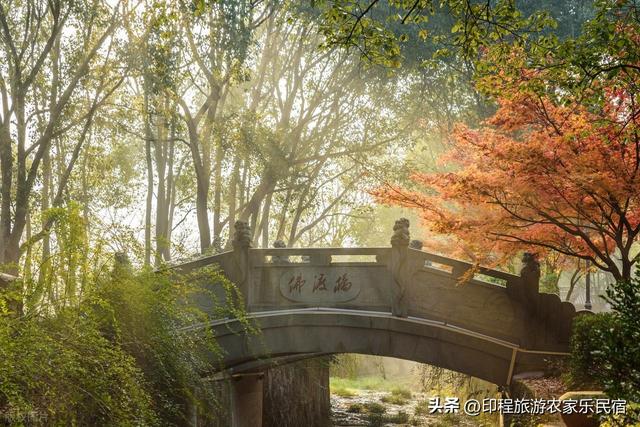 新昌赏秋正当时，这五个必游景点今秋必去，云海农家乐推荐