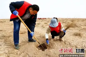 中新武威观 | 5000余志愿者民勤义务植树 共筑生态屏障图片