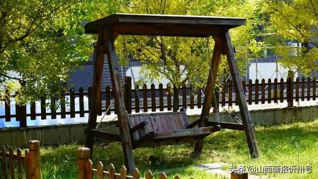 又见奇村 | 你知道吗？南高藏着一个“窑洞秘境”！
