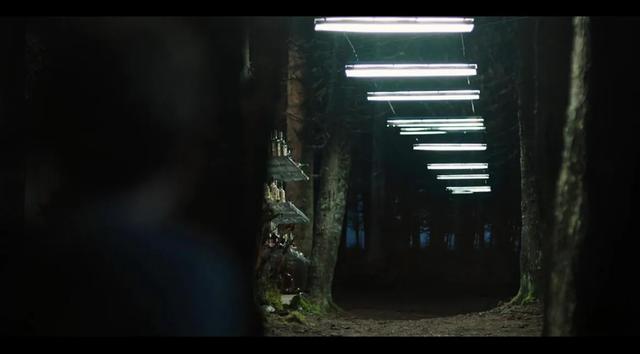 这片森林邪门得很!胆小慎入