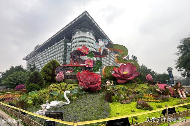 长安街十大花坛：长街坛绽承文脉，花海流光绘盛源