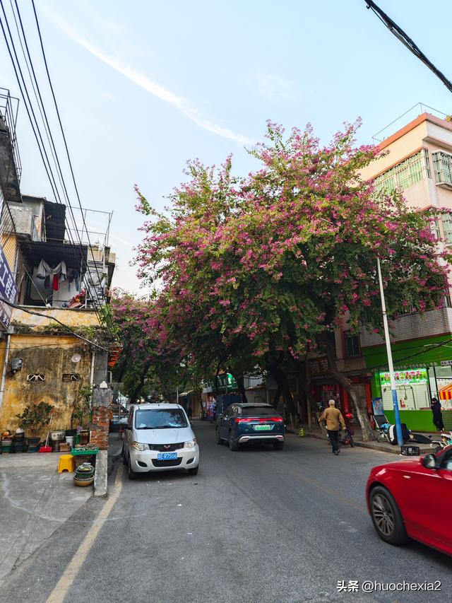 佛山真好逛——锦岩南街与锦岩公园
