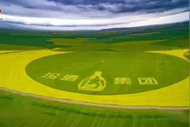 山西汾酒业绩亮眼：319亿营收、104亿净利润，清香巨头逆势狂飙刷新纪录图片