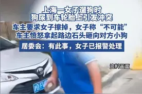 上海女子遛狗撒尿人车上，车主要求擦干净未成，愤怒砸狗图片