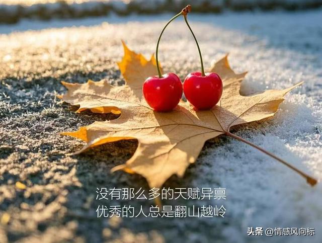 不要让任何人零成本接近你：保护自己	，建立健康关系的智慧之道