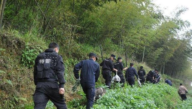 山西老汉独守寺庙29年，96年留女香客过夜后，他狂奔25里下山报案