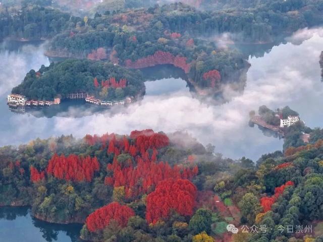 免费又出片！崇州初冬宝藏秘境，美到封神！