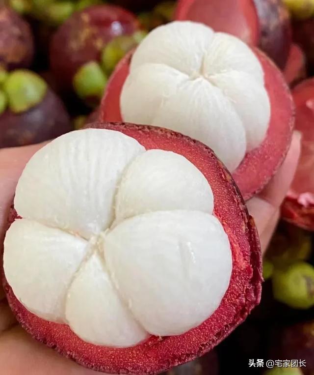 我是宁波人，去了趟三亚才懂：这地方火得根本藏不住！