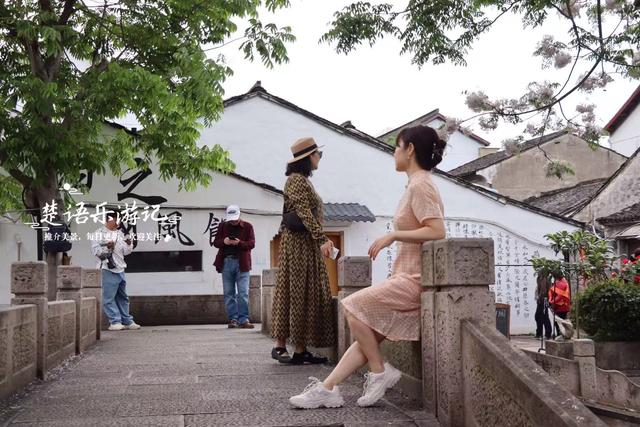 浙江绍兴蕺山街的苦楝花海，极富江南水乡情韵，是拍照的绝佳之地