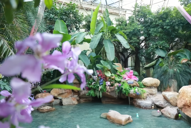 临沂人游临沂｜去河东热热闹闹赶大集，临沂人家门口的快乐清单