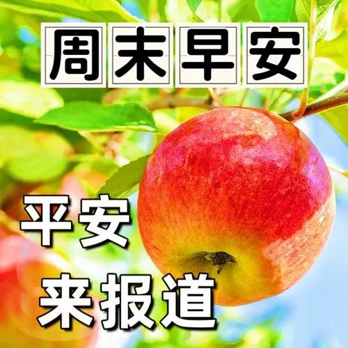 特别暖心的早安问候语,开心短句发朋友圈祝福,吉祥如意身体好