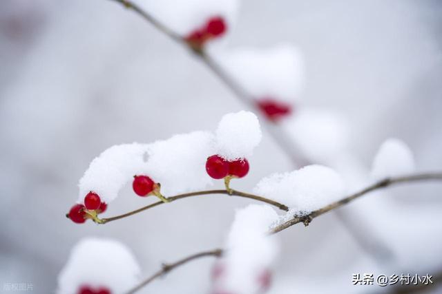今日大雪，老人说“冷不冷	，就看大雪	”，今年冬天是冷冬吗？