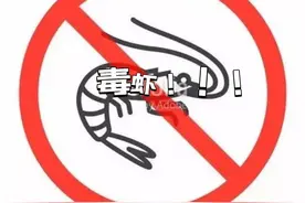 广东毒虾！N二甲基亚硝胺超标9.66倍，海鲜还能放心吃吗？图片