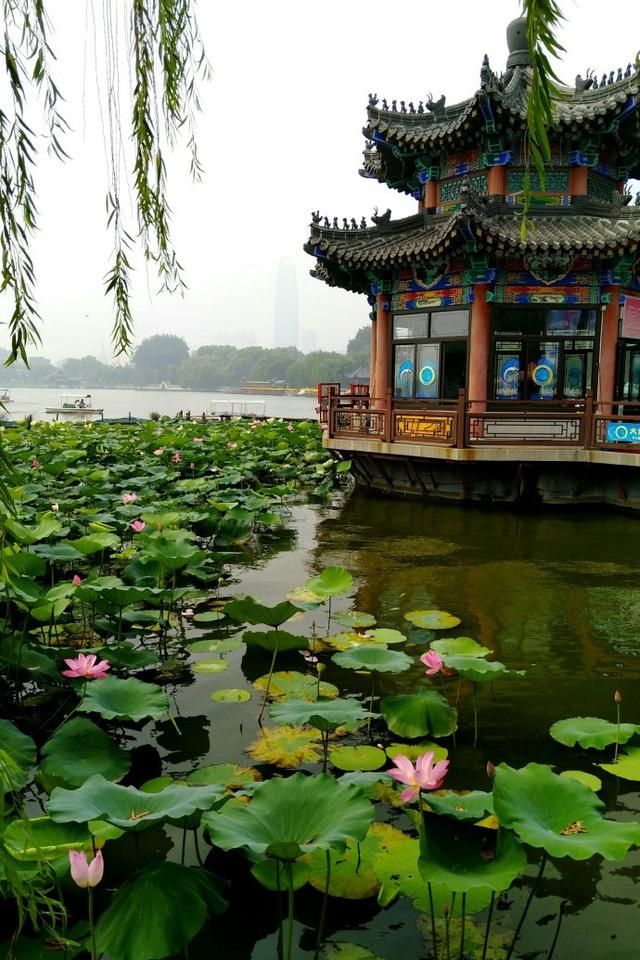 《草根春秋》系列 旅游篇 七 走马观花济南市