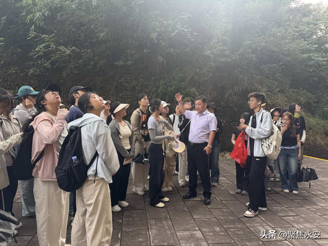 福建永安：“研学+”让山水草木“活”起来