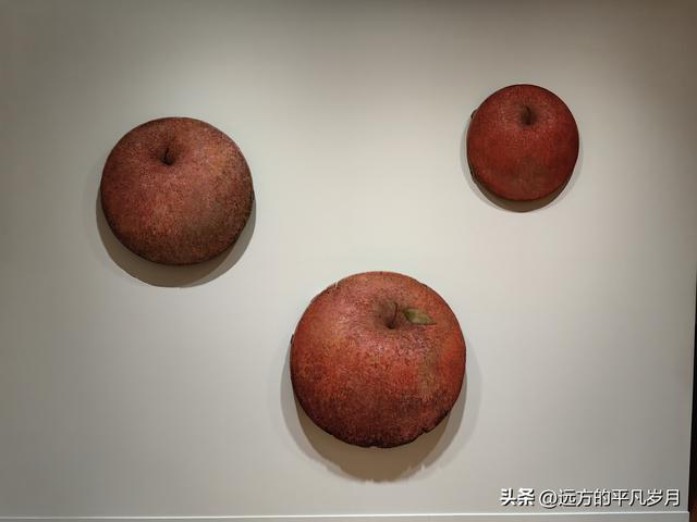 温哥华游记（二）