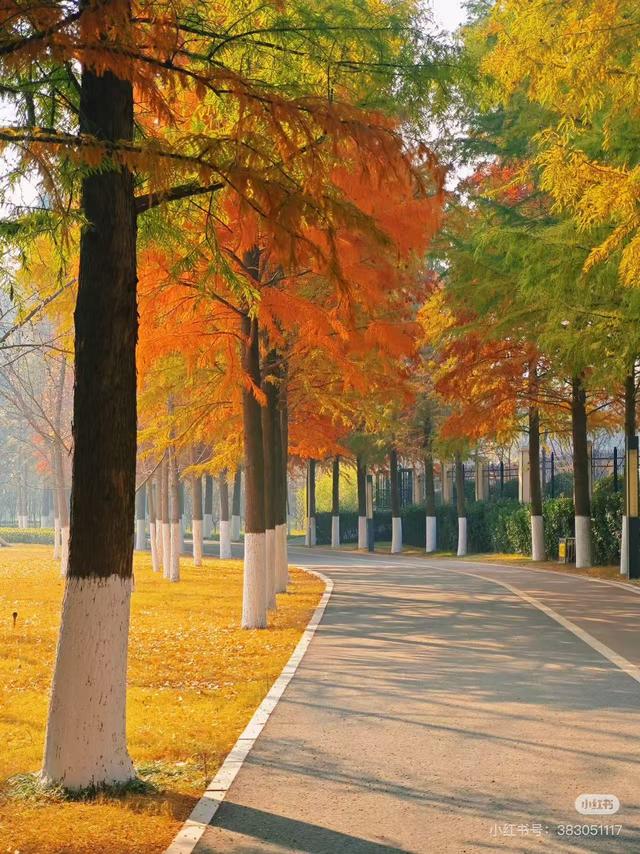 原来真的有城市，可以一天24小时都快乐~（2）