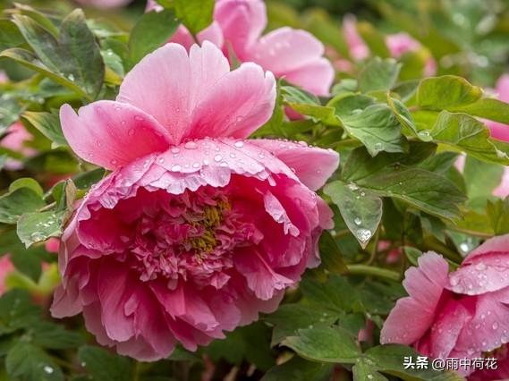 晚年苦不苦	，全看七十五：这4手备好，余生安稳舒心