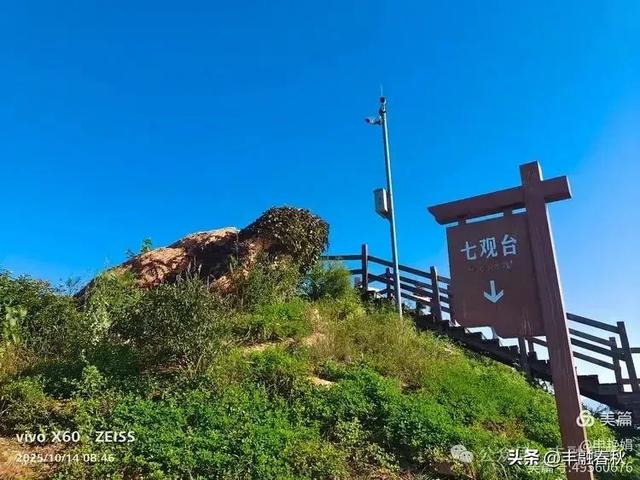 浮山漫记：藏在青岛城央的自然诗篇｜申艳娟
