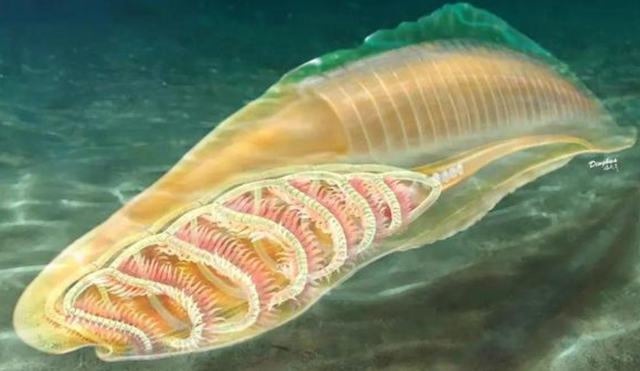 中国人为啥对酸味又爱又恨？一文讲清楚这背后的亿年演化历史