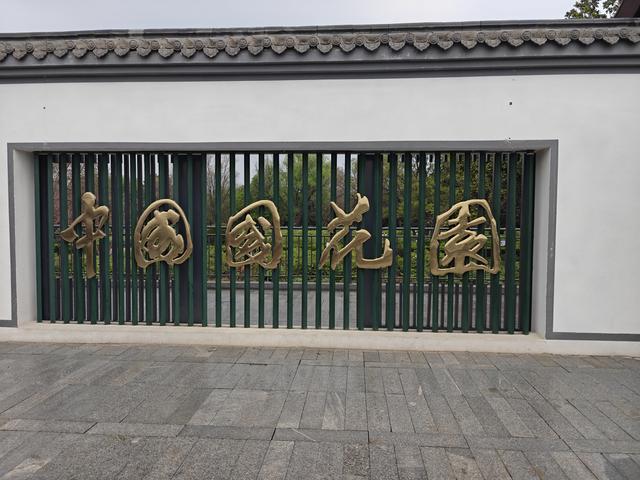 洛阳中国国花园：千亩牡丹盛放 国色倾城醉游人