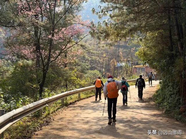 阳光明媚的冬日里，我们爬山去，逛陡坡村、看冬樱花，做晴朗的事