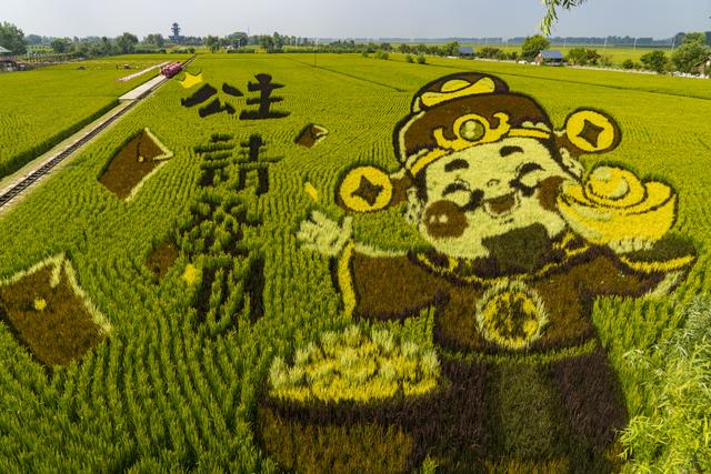 辽宁沈阳：一组美丽壮观的稻田画栩栩如生